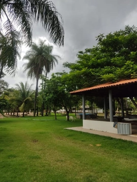 M A R A V I L H A Fazenda/Sítio de L U X O, 31 hectares em Riachinho.: 29ª foto da galeria de imagens do imóvel
