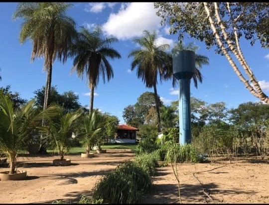 M A R A V I L H A Fazenda/Sítio de L U X O, 31 hectares em Riachinho.: 12ª foto da galeria de imagens do imóvel