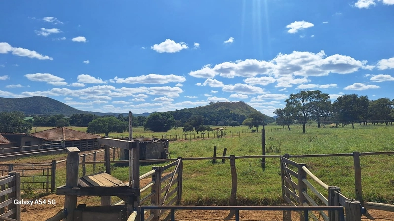 ÓTIMA fazenda à venda em Unaí-MG, 262 ha.: 1ª foto da galeria de imagens do imóvel