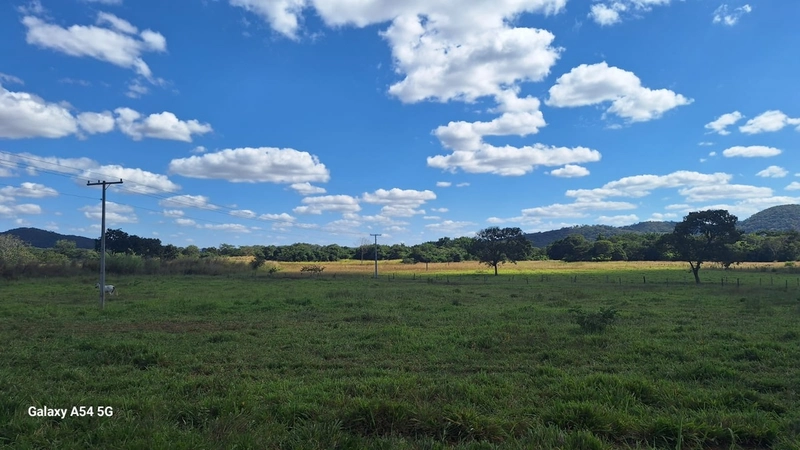 ÓTIMA fazenda à venda em Unaí-MG, 262 ha.: 41ª foto da galeria de imagens do imóvel