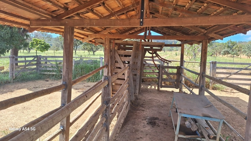 ÓTIMA fazenda à venda em Unaí-MG, 262 ha.: 26ª foto da galeria de imagens do imóvel