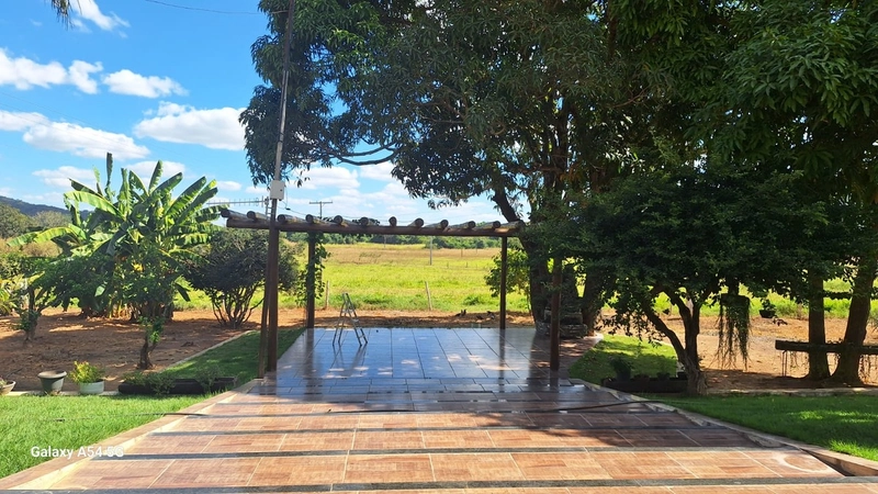 ÓTIMA fazenda à venda em Unaí-MG, 262 ha.: 43ª foto da galeria de imagens do imóvel