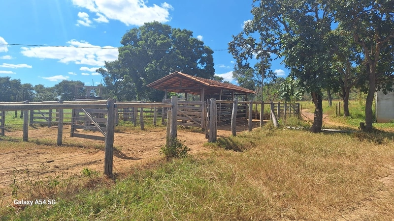 ÓTIMA fazenda à venda em Unaí-MG, 262 ha.: 38ª foto da galeria de imagens do imóvel