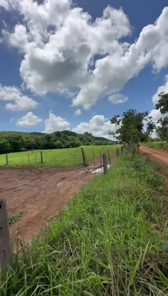 ÓTIMA fazenda à venda em Unaí-MG, 262 ha.: 5ª foto da galeria de imagens do imóvel