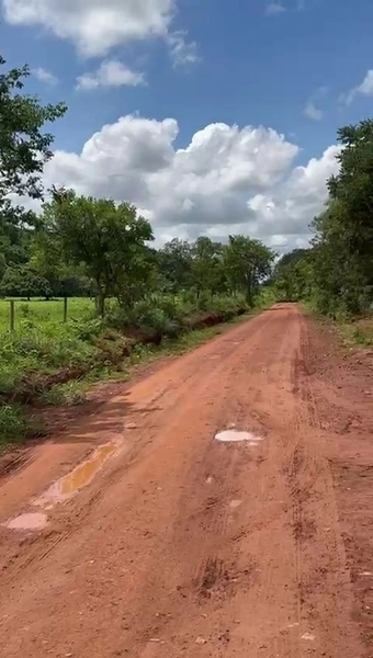 ÓTIMA fazenda à venda em Unaí-MG, 262 ha.: 10ª foto da galeria de imagens do imóvel