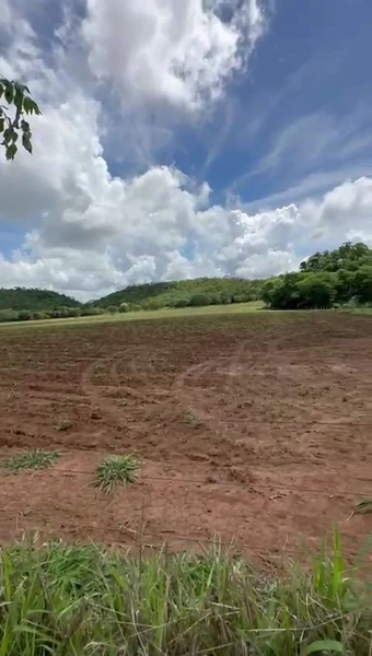 ÓTIMA fazenda à venda em Unaí-MG, 262 ha.: 36ª foto da galeria de imagens do imóvel