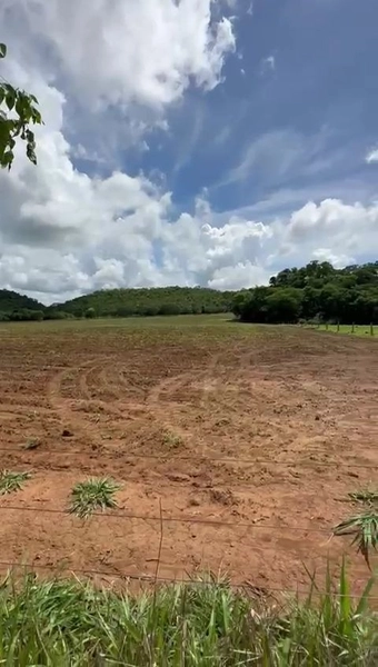 ÓTIMA fazenda à venda em Unaí-MG, 262 ha.: 12ª foto da galeria de imagens do imóvel