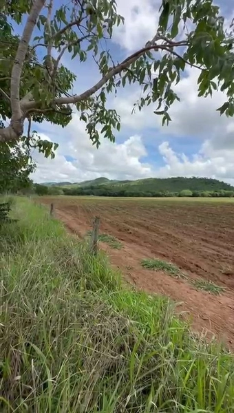 ÓTIMA fazenda à venda em Unaí-MG, 262 ha.: 6ª foto da galeria de imagens do imóvel