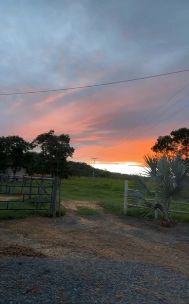 ÓTIMA fazenda à venda em Unaí-MG, 262 ha.: 11ª foto da galeria de imagens do imóvel