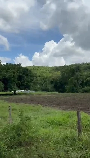 ÓTIMA fazenda à venda em Unaí-MG, 262 ha.: 31ª foto da galeria de imagens do imóvel