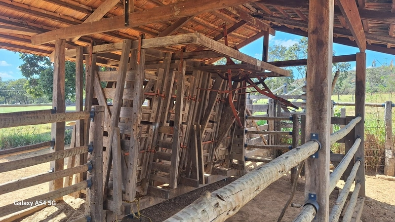 ÓTIMA fazenda à venda em Unaí-MG, 262 ha.: 27ª foto da galeria de imagens do imóvel