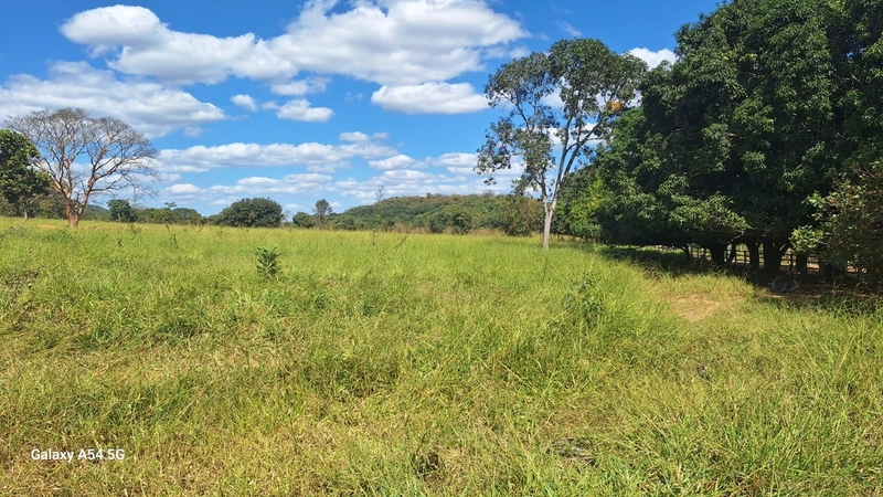 ÓTIMA fazenda à venda em Unaí-MG, 262 ha.: 39ª foto da galeria de imagens do imóvel
