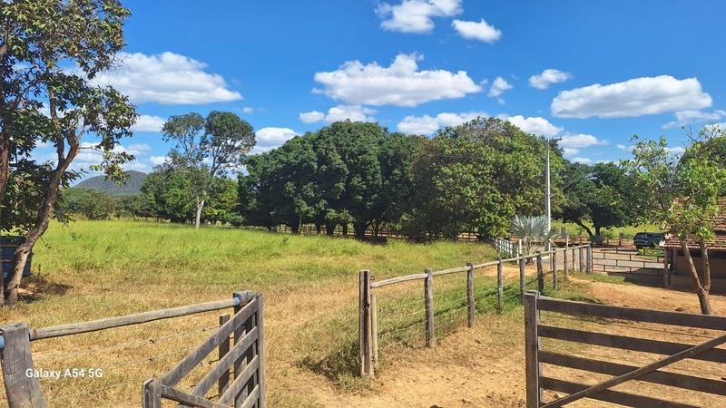 ÓTIMA fazenda à venda em Unaí-MG, 262 ha.: 25ª foto da galeria de imagens do imóvel