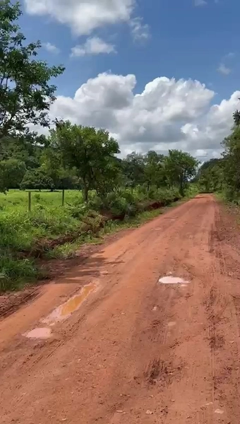 ÓTIMA fazenda à venda em Unaí-MG, 262 ha.: 33ª foto da galeria de imagens do imóvel