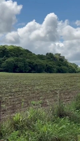 ÓTIMA fazenda à venda em Unaí-MG, 262 ha.: 3ª foto da galeria de imagens do imóvel