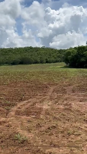 ÓTIMA fazenda à venda em Unaí-MG, 262 ha.: 8ª foto da galeria de imagens do imóvel