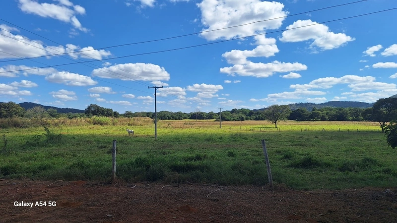 ÓTIMA fazenda à venda em Unaí-MG, 262 ha.: 42ª foto da galeria de imagens do imóvel