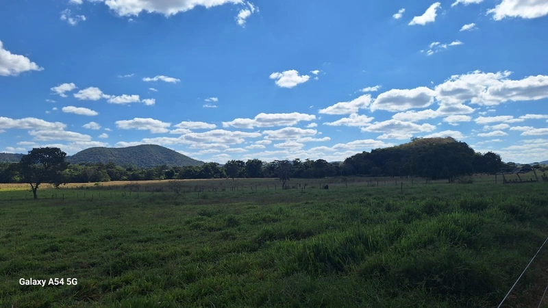 ÓTIMA fazenda à venda em Unaí-MG, 262 ha.: 40ª foto da galeria de imagens do imóvel