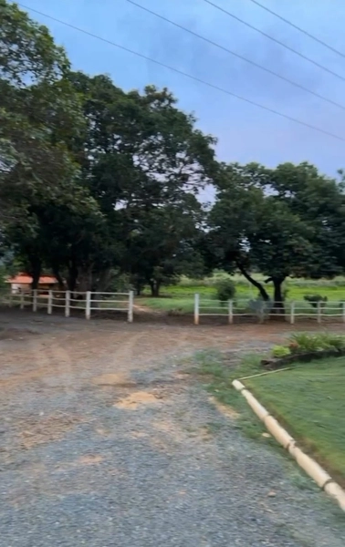 ÓTIMA fazenda à venda em Unaí-MG, 262 ha.: 30ª foto da galeria de imagens do imóvel