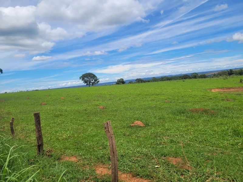 Fazenda à venda, T R I P L A A P T I D Ã O. PECUÁRIA-LAVOURA-CONDOMÍN: 3ª foto da galeria de imagens do imóvel