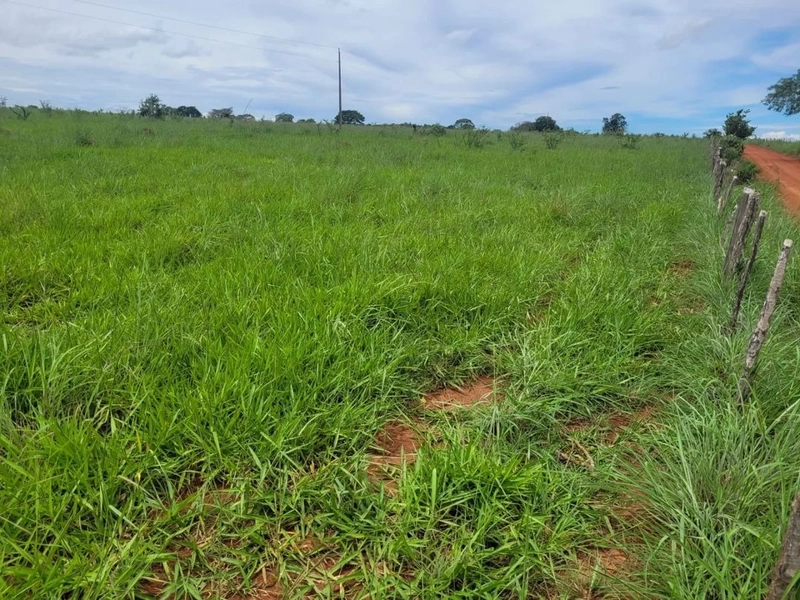 Fazenda à venda, T R I P L A A P T I D Ã O. PECUÁRIA-LAVOURA-CONDOMÍN: 7ª foto da galeria de imagens do imóvel