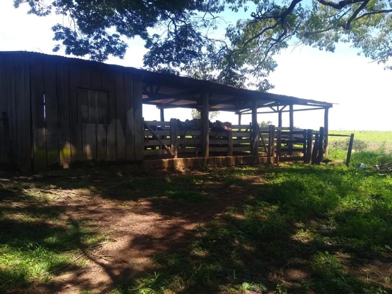 Fazenda à venda, T R I P L A A P T I D Ã O. PECUÁRIA-LAVOURA-CONDOMÍN: 5ª foto da galeria de imagens do imóvel