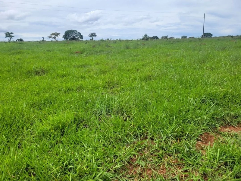 Fazenda à venda, T R I P L A A P T I D Ã O. PECUÁRIA-LAVOURA-CONDOMÍN: 9ª foto da galeria de imagens do imóvel