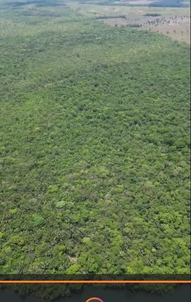 Fazenda à venda, 169 alq. (818 ha). APENAS: 6 milhões – 818 hectares.: 3ª foto da galeria de imagens do imóvel