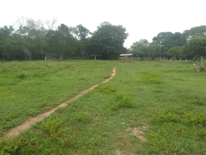Fazenda à venda, 169 alq. (818 ha). APENAS: 6 milhões – 818 hectares.: 22ª foto da galeria de imagens do imóvel