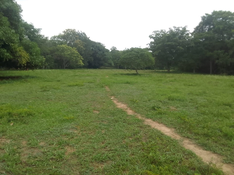 Fazenda à venda, 169 alq. (818 ha). APENAS: 6 milhões – 818 hectares.: 24ª foto da galeria de imagens do imóvel