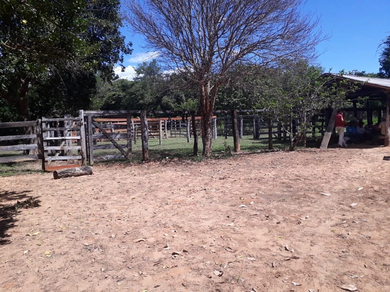 Fazenda à venda, 169 alq. (818 ha). APENAS: 6 milhões – 818 hectares.: 6ª foto da galeria de imagens do imóvel