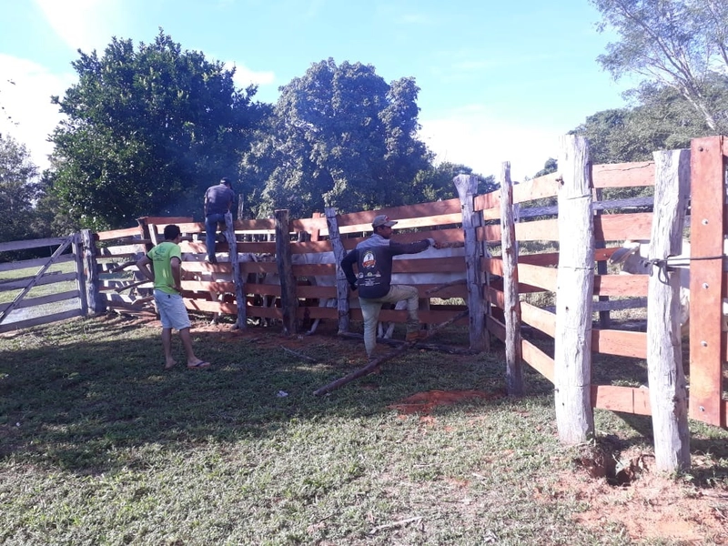 Fazenda à venda, 169 alq. (818 ha). APENAS: 6 milhões – 818 hectares.: 14ª foto da galeria de imagens do imóvel