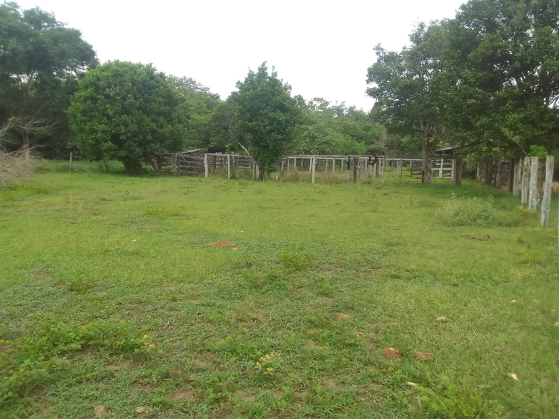 Fazenda à venda, 169 alq. (818 ha). APENAS: 6 milhões – 818 hectares.: 23ª foto da galeria de imagens do imóvel
