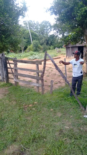 Fazenda à venda, 169 alq. (818 ha). APENAS: 6 milhões – 818 hectares.: 18ª foto da galeria de imagens do imóvel