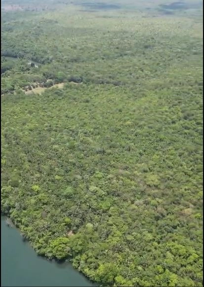 Fazenda à venda, 169 alq. (818 ha). APENAS: 6 milhões – 818 hectares.: 2ª foto da galeria de imagens do imóvel