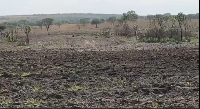 Fazenda à venda, 1.694 Ha, em Niquelândia-GO. 800 ha para PLANTIO: 7ª foto da galeria de imagens do imóvel