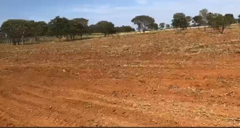 Fazenda à venda, 1.694 Ha, em Niquelândia-GO. 800 ha para PLANTIO: 4ª foto da galeria de imagens do imóvel
