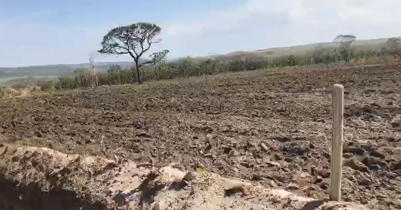 Fazenda à venda, 1.694 Ha, em Niquelândia-GO. 800 ha para PLANTIO: 6ª foto da galeria de imagens do imóvel