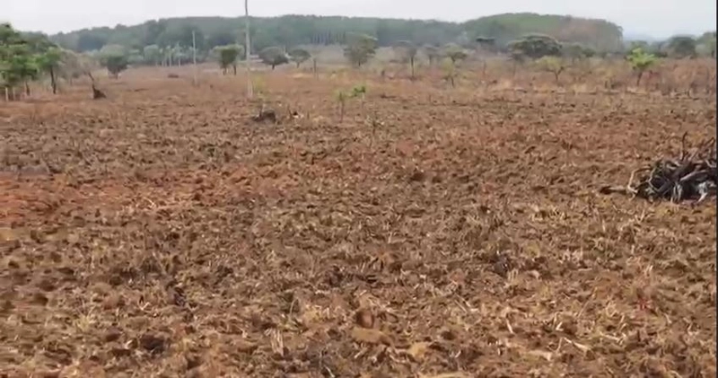 Fazenda à venda, 1.694 Ha, em Niquelândia-GO. 800 ha para PLANTIO: 3ª foto da galeria de imagens do imóvel
