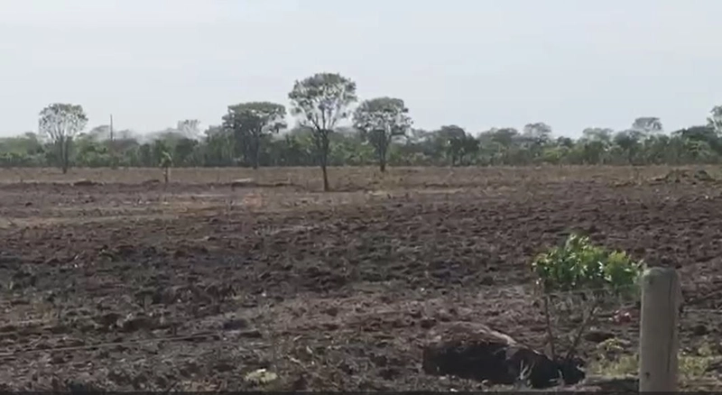 Fazenda à venda, 1.694 Ha, em Niquelândia-GO. 800 ha para PLANTIO: 8ª foto da galeria de imagens do imóvel