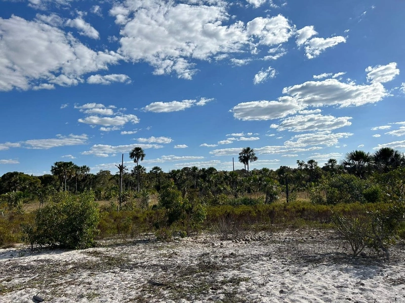 Fazenda à venda, alq. (279 Ha), em Cocos BA: 8ª foto da galeria de imagens do imóvel