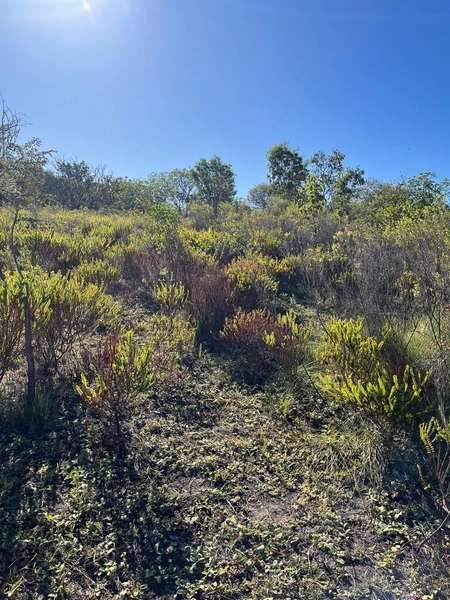 Fazenda à venda, alq. (279 Ha), em Cocos BA: 3ª foto da galeria de imagens do imóvel