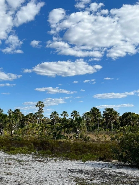 Fazenda à venda, alq. (279 Ha), em Cocos BA: 4ª foto da galeria de imagens do imóvel