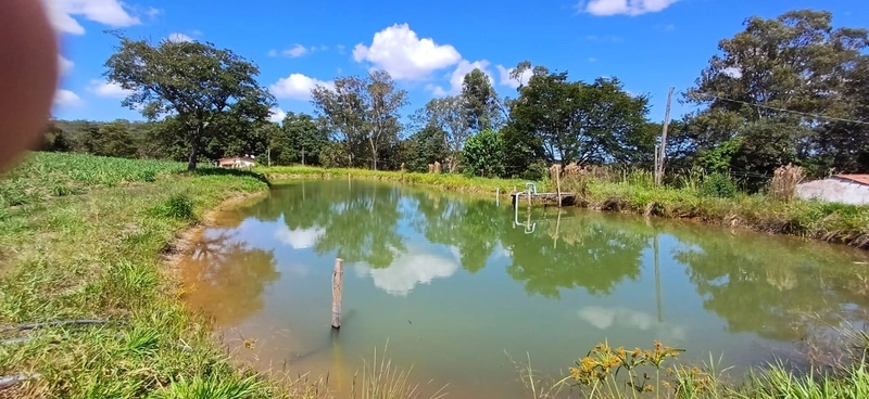 Fazenda à venda, 63 ha em Luziânia-GO, Porteira fechada-GADO: 10ª foto da galeria de imagens do imóvel