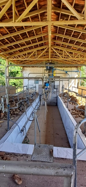 Fazenda à venda, 63 ha em Luziânia-GO, Porteira fechada-GADO: 7ª foto da galeria de imagens do imóvel