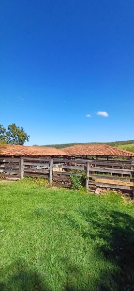 Fazenda à venda, 63 ha em Luziânia-GO, Porteira fechada-GADO: 21ª foto da galeria de imagens do imóvel