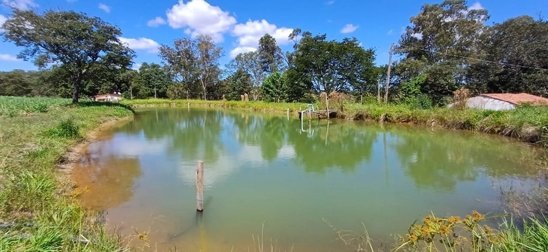 Fazenda à venda, 63 ha em Luziânia-GO, Porteira fechada-GADO: 1ª foto da galeria de imagens do imóvel