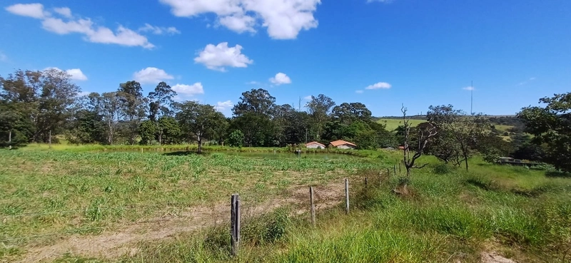 Fazenda à venda, 63 ha em Luziânia-GO, Porteira fechada-GADO: 22ª foto da galeria de imagens do imóvel