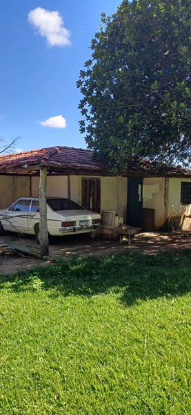 Fazenda à venda, 63 ha em Luziânia-GO, Porteira fechada-GADO: 23ª foto da galeria de imagens do imóvel