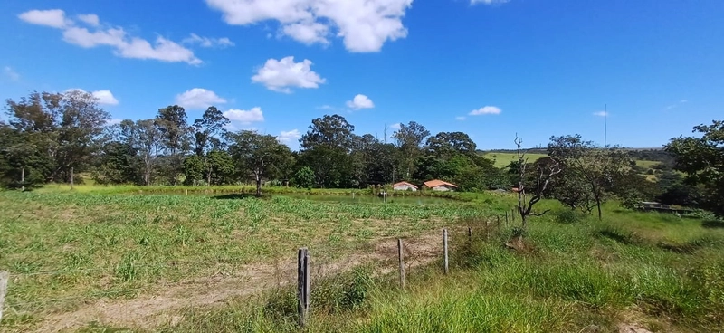 Fazenda à venda, 63 ha em Luziânia-GO, Porteira fechada-GADO: 2ª foto da galeria de imagens do imóvel